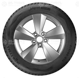 Ikon (Nokian Tyres) Autograph Snow C3 215/65 R16C 109/107R