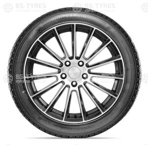 Doublestar DW02 255/55 R20 110T