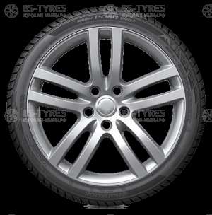 Hankook Winter I*Cept Evo 2 W320 225/55 R16 99V