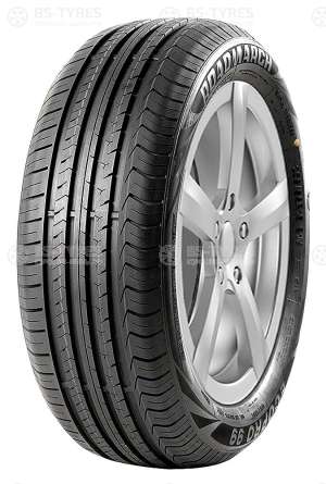 Roadmarch EcoPro 99 195/65 R15 91V