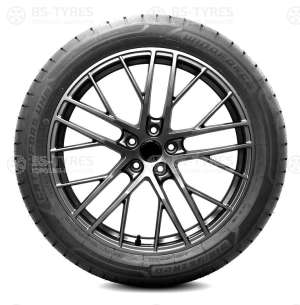 Windforce Catchfors UHP 225/55 R17 101W