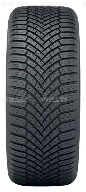 BluEarth Winter V906