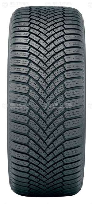 BluEarth Winter V906